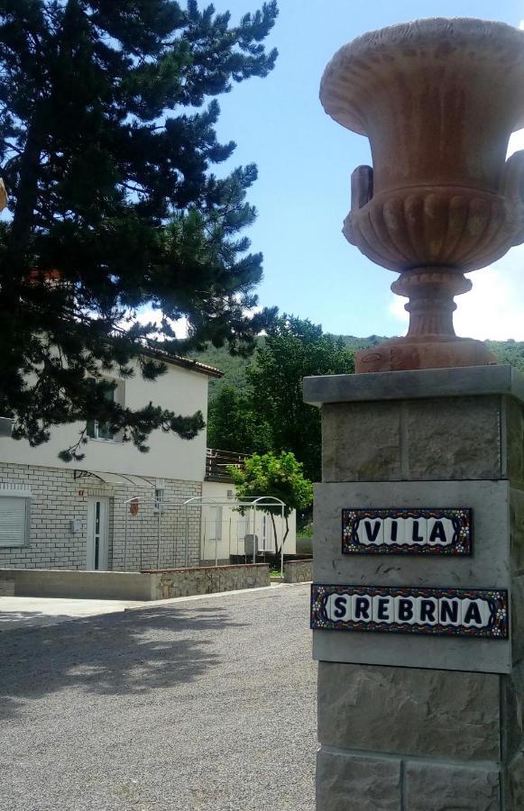 Divaca, Vila Srebrna المظهر الخارجي الصورة