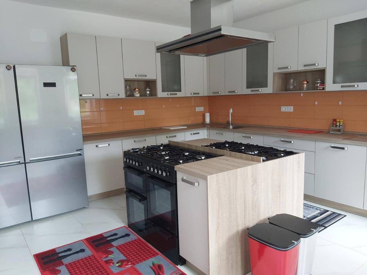 Divaca, Vila Srebrna المظهر الخارجي الصورة